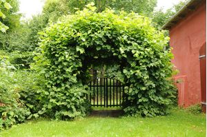 RETR&AElig;TER - PORTEN TIL SJ&AElig;LEN - HVEM ER DU?